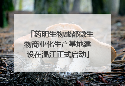 药明生物成都微生物商业化生产基地建设在温江正式启动