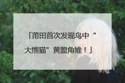 莆田首次发现鸟中“大熊猫”黄腹角雉！