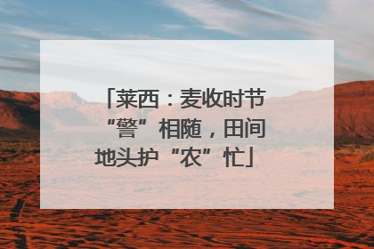 莱西：麦收时节“警”相随，田间地头护“农”忙