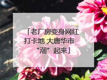 老厂房变身网红打卡地 大唐华市“潮”起来