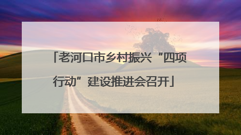 老河口市乡村振兴“四项行动”建设推进会召开