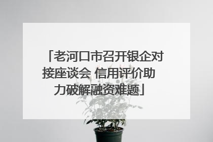 老河口市召开银企对接座谈会 信用评价助力破解融资难题