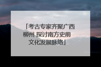 考古专家齐聚广西柳州 探讨南方史前文化发展脉络