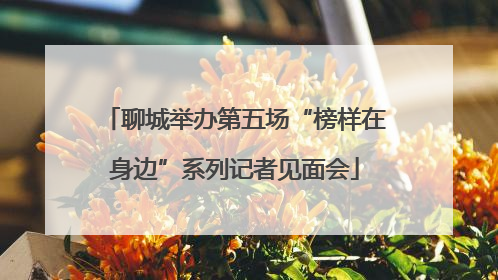 聊城举办第五场“榜样在身边”系列记者见面会