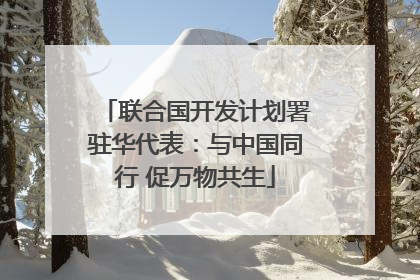 联合国开发计划署驻华代表：与中国同行 促万物共生