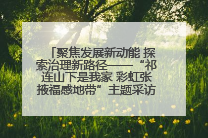 聚焦发展新动能 探索治理新路径——“祁连山下是我家 彩虹张掖福感地带”主题采访活动走进山丹