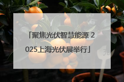 聚焦光伏智慧能源 2025上海光伏展举行