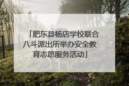 肥东县杨店学校联合八斗派出所举办安全教育志愿服务活动