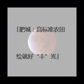 肥城：高标准农田绘就好“丰”光