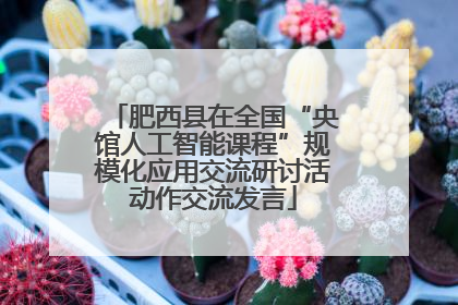 肥西县在全国“央馆人工智能课程”规模化应用交流研讨活动作交流发言