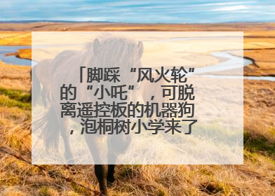 脚踩“风火轮”的“小吒”，可脱离遥控板的机器狗，泡桐树小学来了新朋友！
