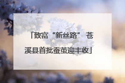 致富“新丝路” 苍溪县首批蚕茧迎丰收