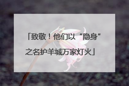 致敬！他们以“隐身”之名护羊城万家灯火