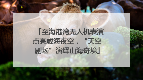 至海港湾无人机表演点亮威海夜空，“天空剧场”演绎山海奇境