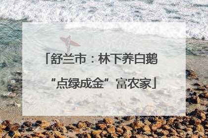 舒兰市：林下养白鹅 “点绿成金”富农家