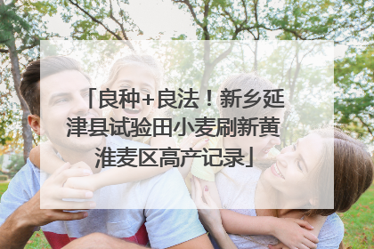 良种+良法！新乡延津县试验田小麦刷新黄淮麦区高产记录