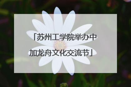 苏州工学院举办中加龙舟文化交流节