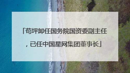 苟坪卸任国务院国资委副主任，已任中国星网集团董事长