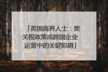 英国商界人士：美关税政策成跨国企业运营中的关键障碍