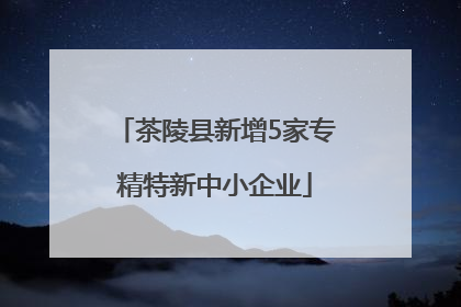 茶陵县新增5家专精特新中小企业