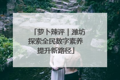 萝卜辣评｜潍坊探索全民数字素养提升新路径