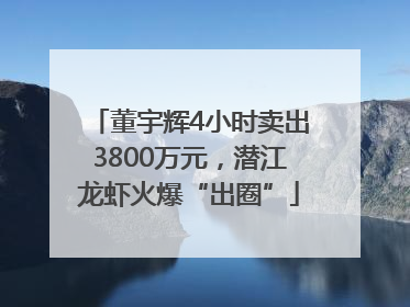 董宇辉4小时卖出3800万元，潜江龙虾火爆“出圈”