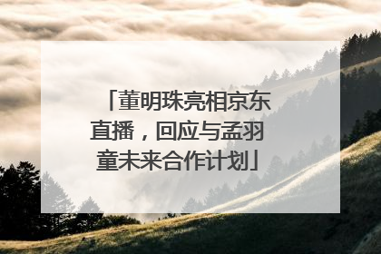 董明珠亮相京东直播，回应与孟羽童未来合作计划