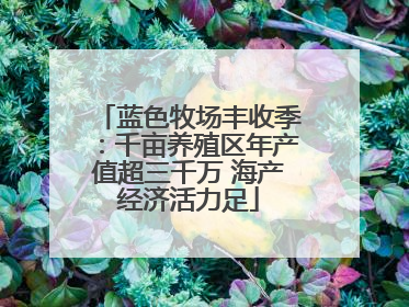 蓝色牧场丰收季：千亩养殖区年产值超三千万 海产经济活力足
