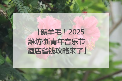薅羊毛！2025潍坊·新青年音乐节酒店省钱攻略来了