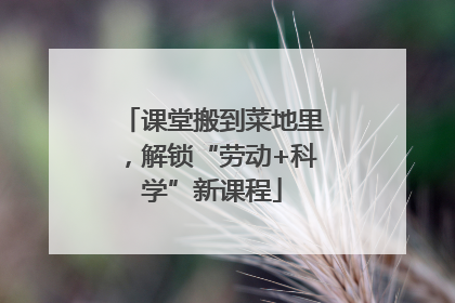 课堂搬到菜地里，解锁“劳动+科学”新课程
