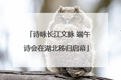 诗咏长江文脉 端午诗会在湖北秭归启幕