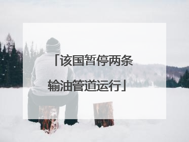该国暂停两条输油管道运行