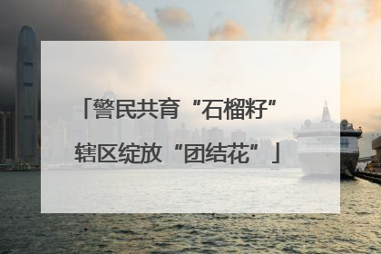 警民共育“石榴籽” 辖区绽放“团结花”