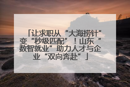 让求职从“大海捞针”变“秒级匹配”！山东“数智就业”助力人才与企业“双向奔赴”