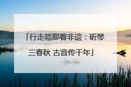 行走赣鄱看非遗：斫琴三春秋 古音传千年