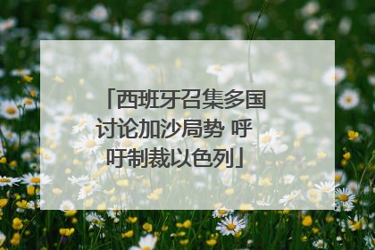 西班牙召集多国讨论加沙局势 呼吁制裁以色列