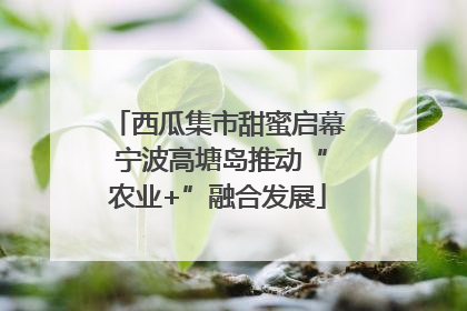 西瓜集市甜蜜启幕 宁波高塘岛推动“农业+”融合发展
