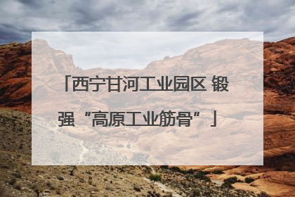 西宁甘河工业园区 锻强“高原工业筋骨”