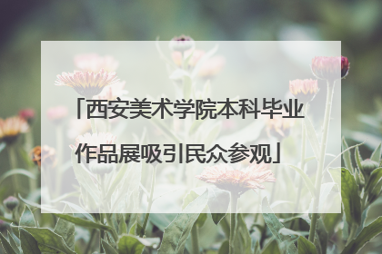 西安美术学院本科毕业作品展吸引民众参观