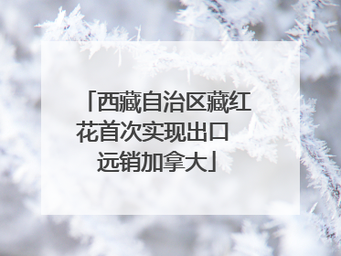 西藏自治区藏红花首次实现出口 远销加拿大