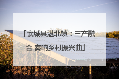 襄城县湛北镇：三产融合 奏响乡村振兴曲
