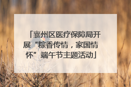 襄州区医疗保障局开展“粽香传情，家国情怀”端午节主题活动