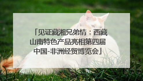 见证藏湘兄弟情：西藏山南特色产品亮相第四届中国-非洲经贸博览会