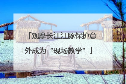 观摩长江江豚保护意外成为“现场教学”