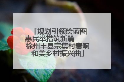 规划引领绘蓝图 惠民举措筑新篇——徐州丰县宗集村奏响和美乡村振兴曲