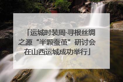 运城时装周·寻根丝绸之源“半颗蚕茧”研讨会在山西运城成功举行