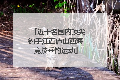 近千名国内顶尖钓手江西庐山西海竞技垂钓运动