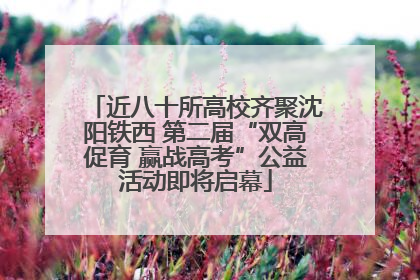 近八十所高校齐聚沈阳铁西 第二届“双高促育 赢战高考”公益活动即将启幕