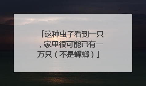 这种虫子看到一只，家里很可能已有一万只（不是蟑螂）