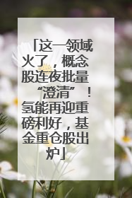 这一领域火了，概念股连夜批量“澄清”！氢能再迎重磅利好，基金重仓股出炉